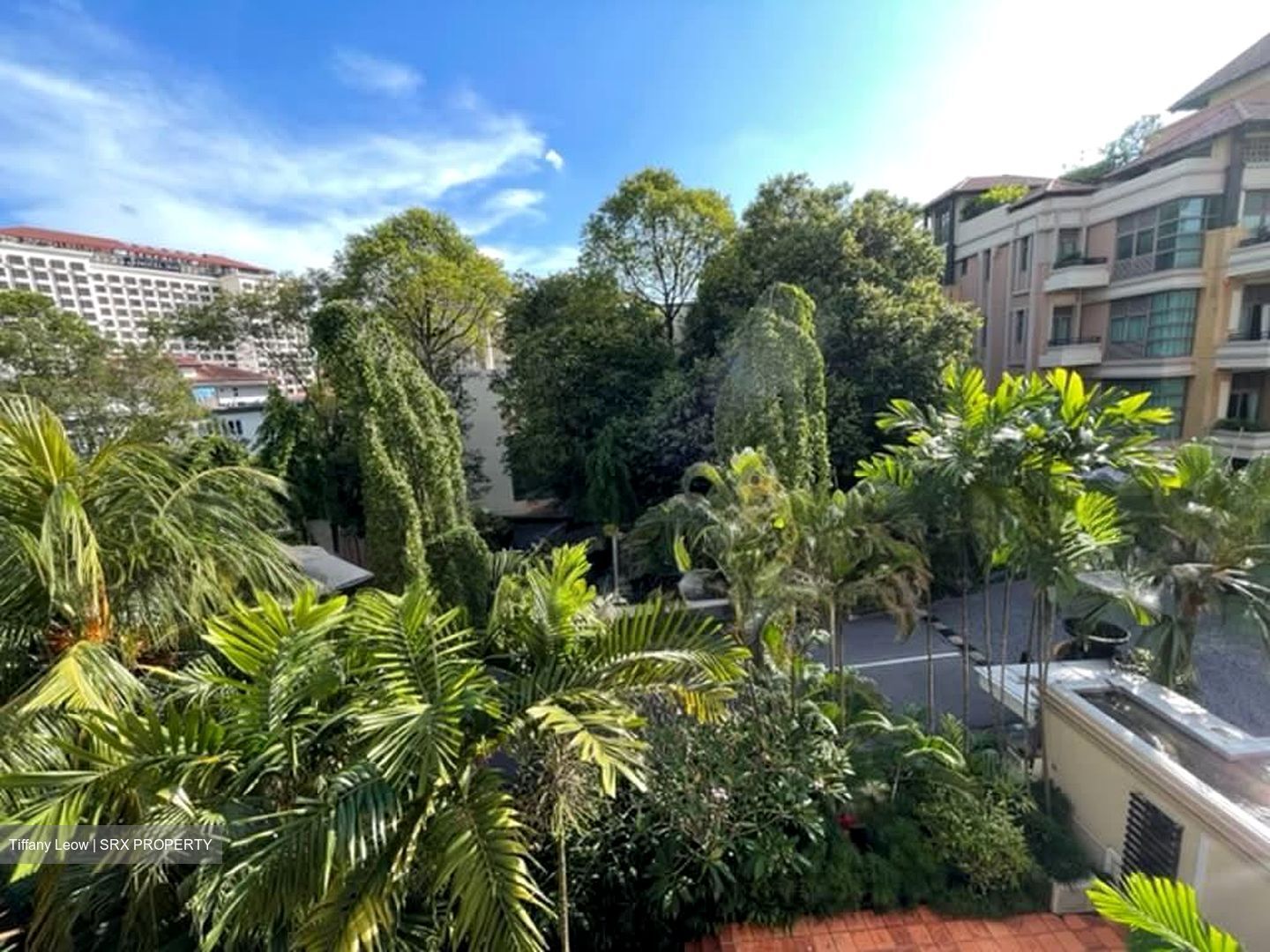 St. Martin Residence (D10), Condominium #583475961